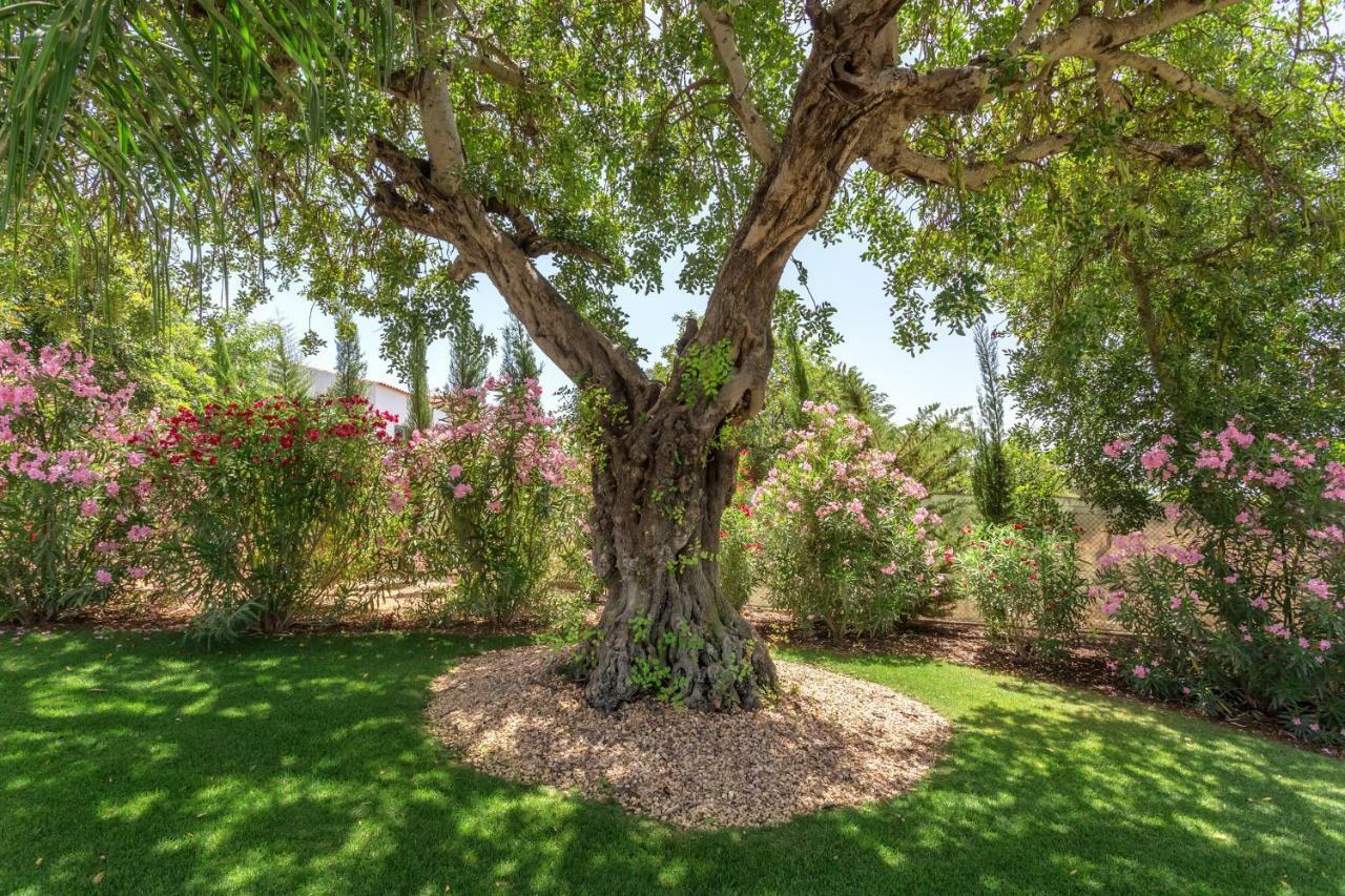 Family Country House Φάρο Εξωτερικό φωτογραφία